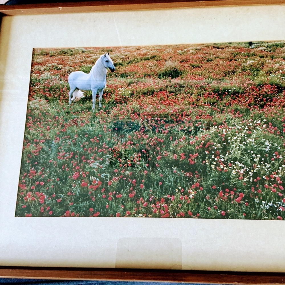 In The Meadow by Robert Vavra. This is a photographic print hand signed by him.